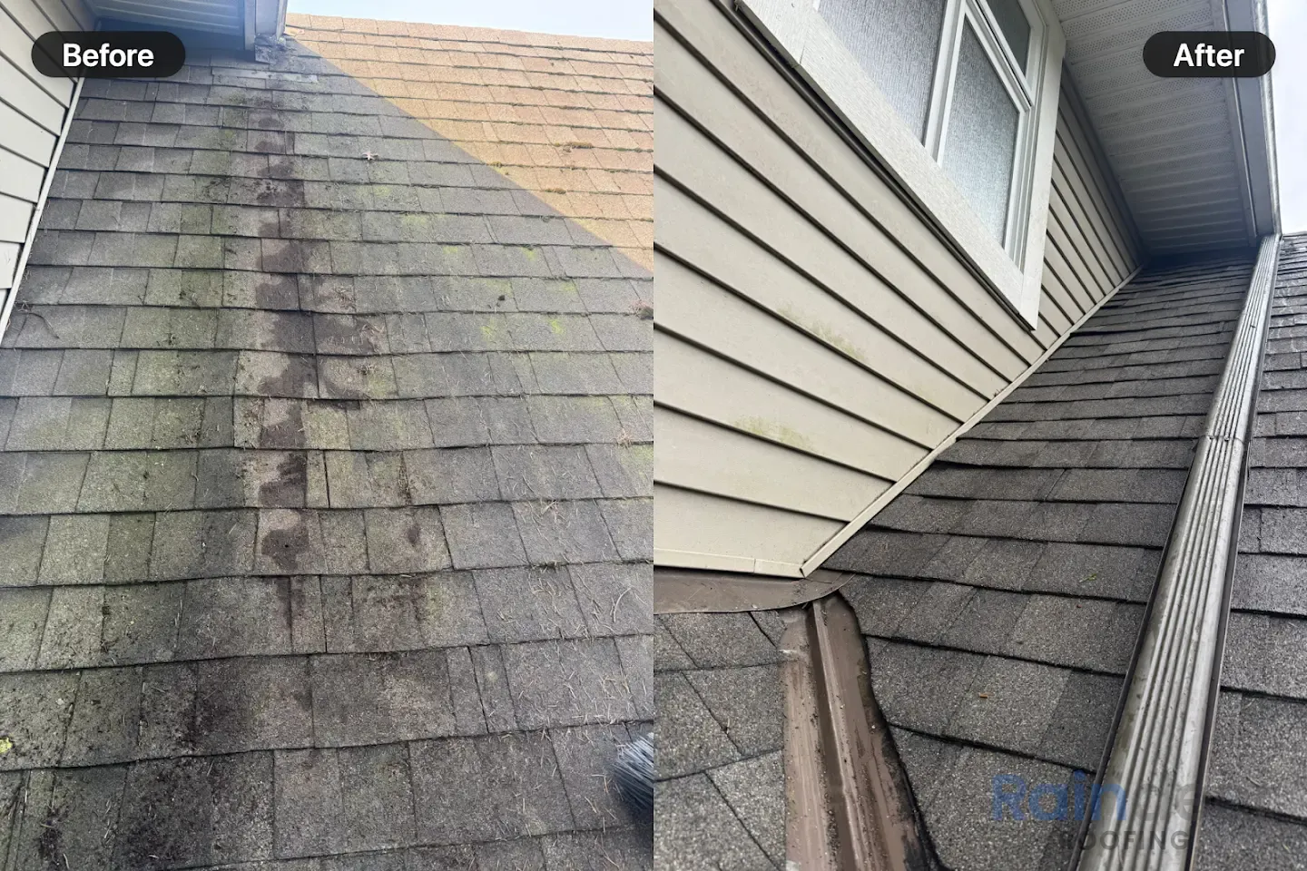 Before and after of a worn roof replaced with new architectural shingles by Raindeer Roofing